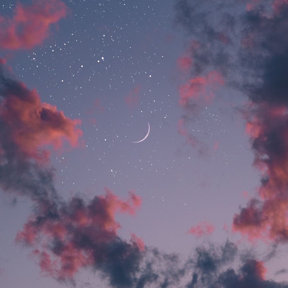 Meet your Posher, Molly